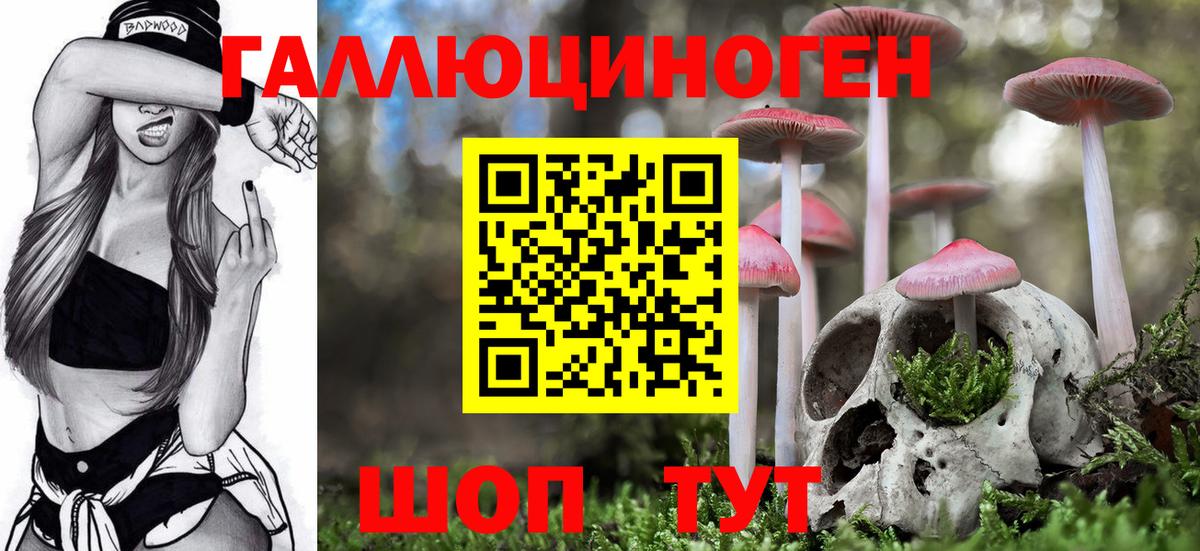 Пыть-Ях  Псилоцибиновые грибы Cubensis  Вход с VPN 