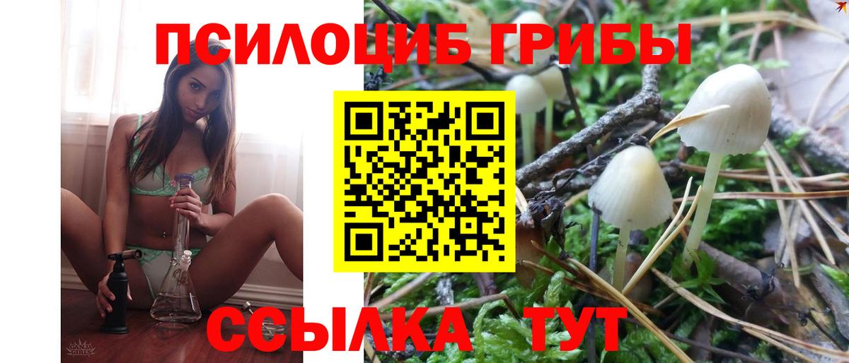 Псилоцибиновые грибы мицелий Пыть-Ях